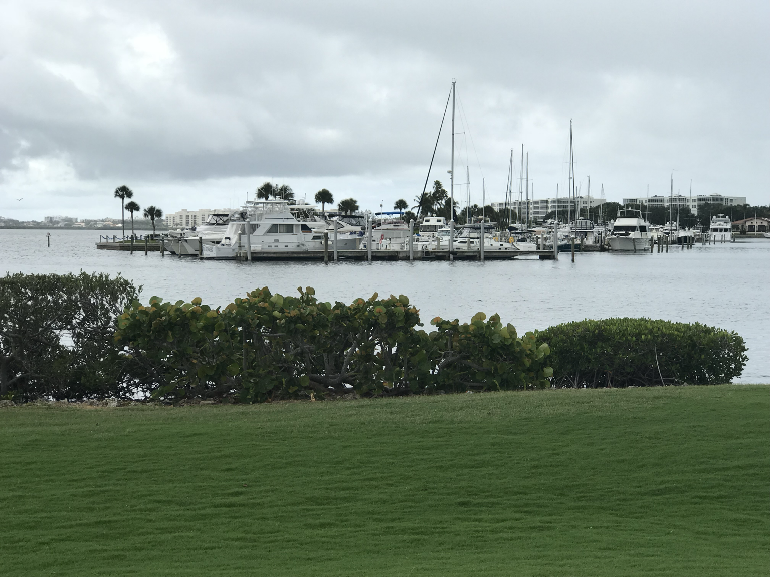 Yachts and marina